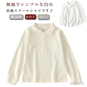 yzuEX  |Vc |Pbg XN[Vc ݕt ۋ  uEX 100% XN[EGA tH[} 