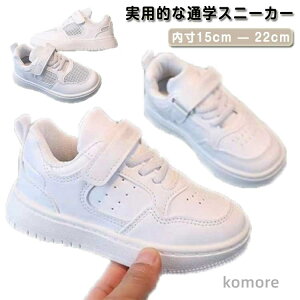 yz₷ Mtg ʊw ʉ ۈ牀  tďH~ ₷ ct j̎q w   a ^C y LbYC Ԃ V[Y Xj[J[