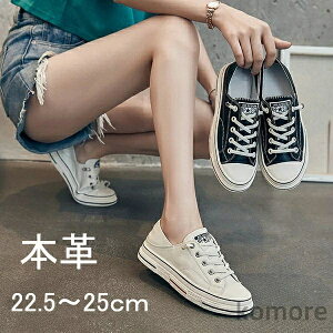 yzv[g ʋC t JWA y _炩 ₷ EH[LO X|[c ^C  V[Y {v H[gV[Y