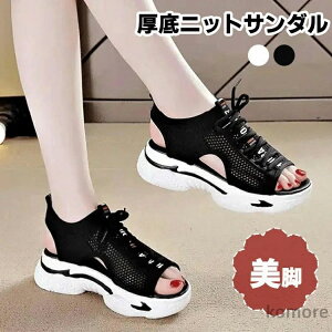 yzr[`T_ ʋC r EH[LOV[Y wlC Vv JWA ubN zCg 22.5 23 23.5 24 24.5 25cm