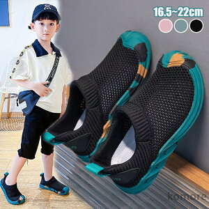 yz  ʋC WjA LbY wV[Y EȒP qV[Y  ʊw w w sN ubN O[