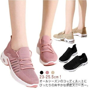 yzi[XV[Y X|[cV[Y  U fB[X Xb| ^C Ȃ EH[LOV[Y y