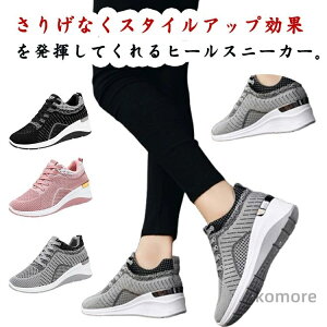 yzr ^C JWA X|[cV[Y ʋ o s wlC fB[X y  Xj[J[ EFbW\[ RC