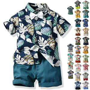 yzԂ xr[ ㉺Zbg ㉺ 2_Zbg ԕ  a ZbgAbv Vc ԕVc J LbY 