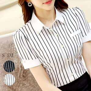 yz}}Vc 40 30 ʋ  Ǝ w ꂢ   rWlX fB[X uEX Vc gbvX 