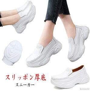 yzʊw ʋ zCg EH[LOV[Y TChSA 5cmq[ Xj[J[ fB[X  Xb|