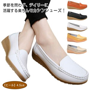 yz₷ JV hCrOV[Y 4.5cmq[ V[Y fB[X y I[V[Y [t@[ pvX