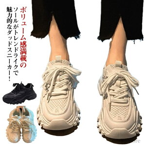 yzr ^C C EH[LOV[Y JWAV[Y Xj[J[  Xj[J[ fB[X _bhXj[J[