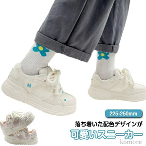 yz₷ r  ^C qZ   Xj[J[ Xj[J[ _bhV[Y fB[X Xj[J[