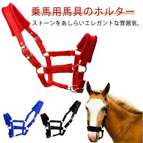 楽天市場】オレンジ（乗馬｜スポーツ・アウトドア）の通販