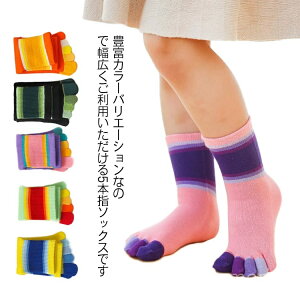 yz C tH~ ̎q 5{w\bNX AEghA  zF qp ʉ j̎q ʋC jp X|[c Xj[J[