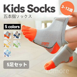 yz C q xr[ q  ̎q j̎q  V[g\bNX LbY qpܖ{w\bNX  5{w