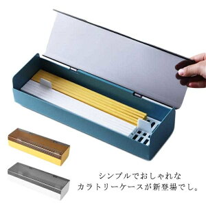 【送料無料】ス お箸収納ボックス スプーン フォーク 超長サイズ 仕切り 水切り 半透明蓋 防カビ 多機能 キッチン収納 家庭用 飲食店 業務用