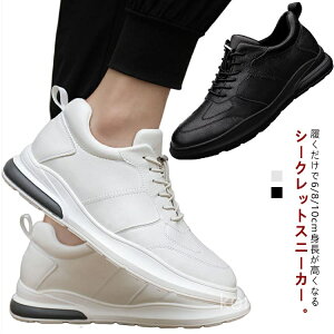 yzgAbv Cq[ V[NbgXj[J[ [Jbg  C X|[c ʋ ʊw ₷ rWlX 23.5-26.5cm