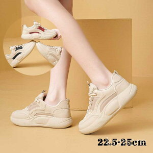 yzY EH[LOV[Y ^C ʋC JWAV[Y y gAbv ʋ ʊw  O L wlC 22.5`25cm