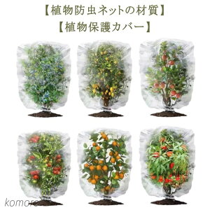 yz ؖ |plbg ؍͔| hlbg 2ZbgIAیJo[ Ap hlbg x_ 2ZbgIAیJo[