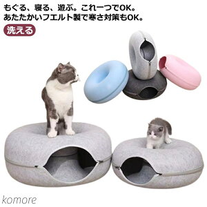 yz킢 ybg lR tFg 􂦂 ybg Lgl p  IV O  Lpxbh ^ɓKxbh