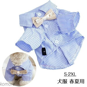 yztėp ̕ `[J[t XgCvVc lN^Ct {[_[Vc ėp  ^ ^ ^ O U RXv