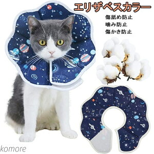 yzLp ^p p㏝ی rߖh~ ~h~ FfUC  L ybg y _炩 炩 ی p 킢 