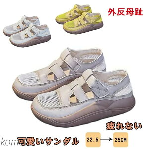 yz O fB[X pvX fB[X ₷ T_ ₷  Ȃ  C V[Y 