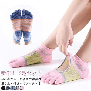 yz2Zbg K \bNX K\bNX ~ 5{w C KEFA ܖ{w   悪  seBX zbg K