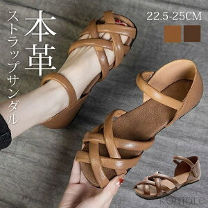 yzfB[X C RtH[gT_ {v v [U[ ƕt [q[ ؂ Xgbv _炩 Ȃ C 