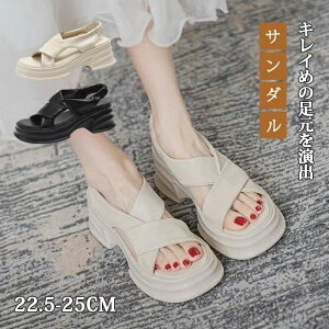 yzfB[X C RtH[gT_   Xgbv _炩 Ȃ C r ~ bNX gh Vv