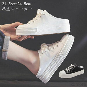 yzXj[J[ T_  tbgXj[J[ q[6cm Cq[ LoX Xj[J[ V[Y fB[X ؍ C