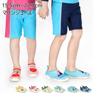 yzp C }V[Y LbY }X|[c ANAV[Y r[`V[Y ̎q j̎q  AEghA v[ 