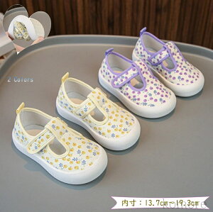 yzqC 㗚 LbY ΂ ̎qC V[Y 킢 YbN oGV[Y LoXV[Y C  fUC w  y ʊw w