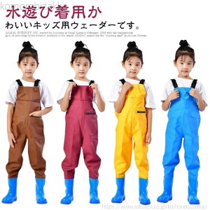 �y���������z�q���p �c��� �h�� ���C��̌^ �v���C�E�F�A ���C���p���c ���̎q �����ꒅ ���t�����C �~�J �j�̎q �L�b�Y �C