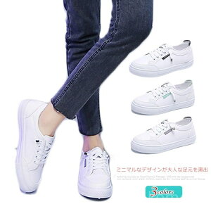 yz fB[X [Jbg V[Y Vv JWA ʋ 킢 ₷ ʊw wZp w wl C Xj[J[