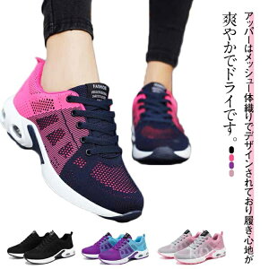 yzNbV JWA RtH[g bV ʋCǂ y  ₷ jO EH[LOV[Y Xj[J[