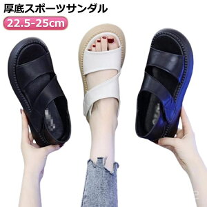 yzy 5cm gAbv X|[cT_ Od lԍHw b T_ L Xj[J[  ʋC  T_