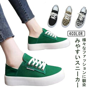 yz[q[ [Jbg l p y EH[LOV[Y [Jbg Xj[J[ LoX fB[X  Xj[J[