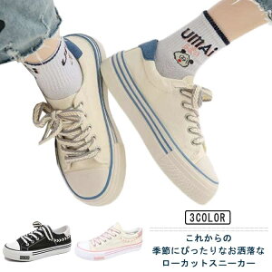 yz_炩 tBbg  Ռz ^C Vv  [Jbg LoXXj[J[ Xj[J[  fB[X