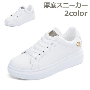 yz~ X|[c  ^C RC nCq[ JWAV[Y V[Y Xj[J[ fB[X q[Xj[J[