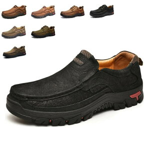 yzgbLO 傫TCY C X|[cV[Y y oR ʋC EH[LO Y nCLO