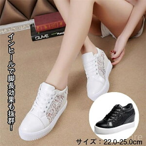 yz22.0-25.0  Vv l ėp  킢  Cq[ r bV fB[X