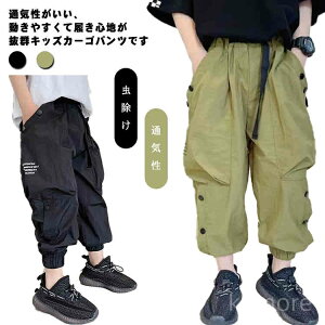 yz h 150  H t _炩 WjA LbY Y{  j̎q J[Spc pc  {gX