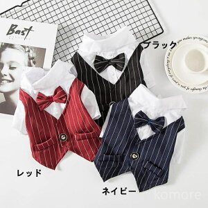 yzybgp p[eB[ EGfBO j RXv am  LVc lN^Ct LO X[c ybgp