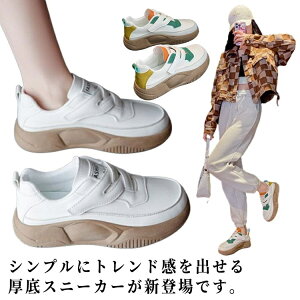 yz₷ PU RtH[gV[Y r RȂXj[J[ EH[LOV[Y  C O Xj[J[  Xj[J[