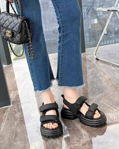 yzXj[J[ C T_ r[` RtH[g r y 4.5cm r[`T_ T_ fB[X 