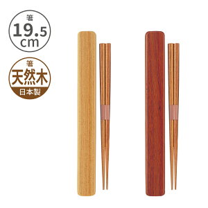 X hEZbgiLj22.5cm VR ؐ h    P[X XCh Jg[ ؖڒ ^ ٓ ` fB[X Y l  j wZ w {
