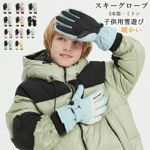 �~�p �ʋC �h�� �h�� �Ⴉ���h�~ �q���p �h����� �ۉ� �~�g���^�C�v 5�{�w�X�m�[��� �L�b�Y �X�m�[�{�[�h�O���[�u �X�m�[���