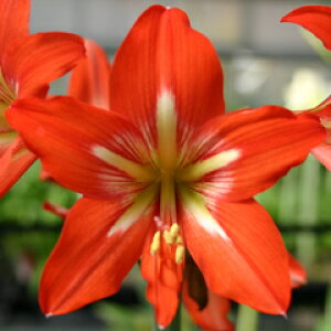 IWiiIA}Xeg t@j[ {[Cf@АY@1