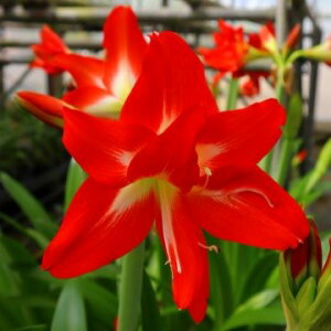 IWiiIJԌA}XeX[ _u }[fiАYj@1