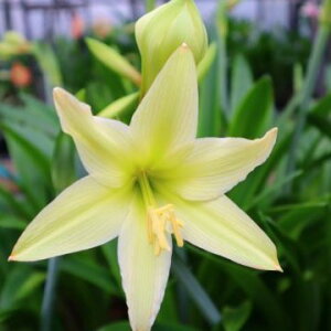 XJIWiIJԌA}Xeف[قfiАYj@1