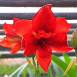 NEWIIWiiIA}Xe_u gf@АY@1