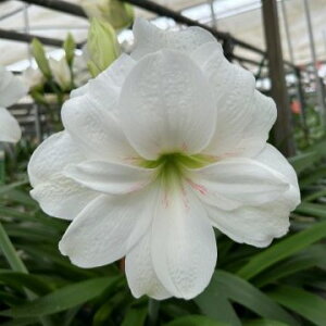 IWiiId炫A}X@eAbv Cg zCg^CK[f@АY@1